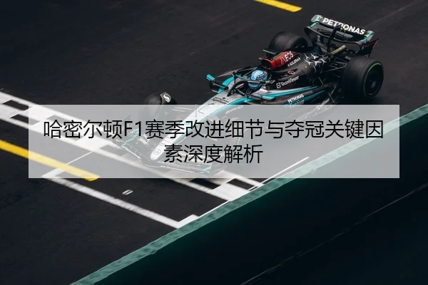 哈密尔顿F1赛季改进细节与夺冠关键因素深度解析